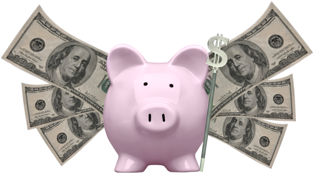 A pink piggy bank with a dollar sign wand is centered against a white backdrop. Spread behind it are hundred-dollar bills, resembling wings.