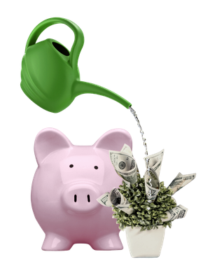 A pink piggy bank beside a potted plant with dollar bills as leaves, being watered by a green can, symbolizing business growth.
